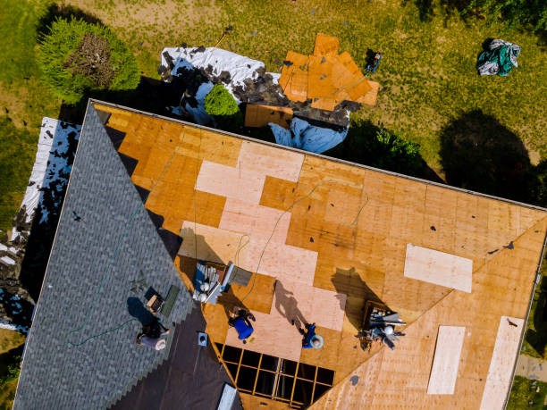 Best Storm Damage Roof Repair  in St Robert, MO